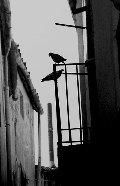 Bruno y Alba.