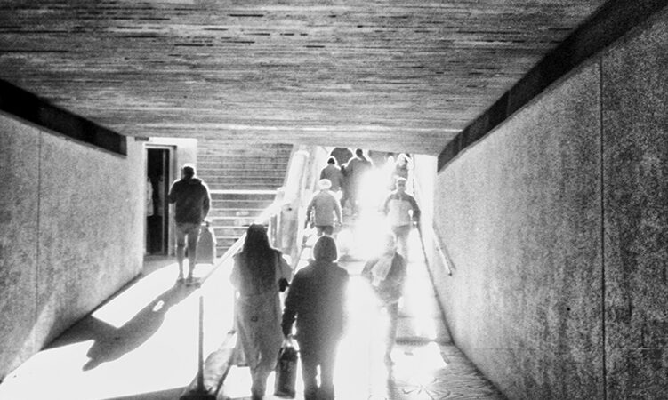 Buscando la luz.