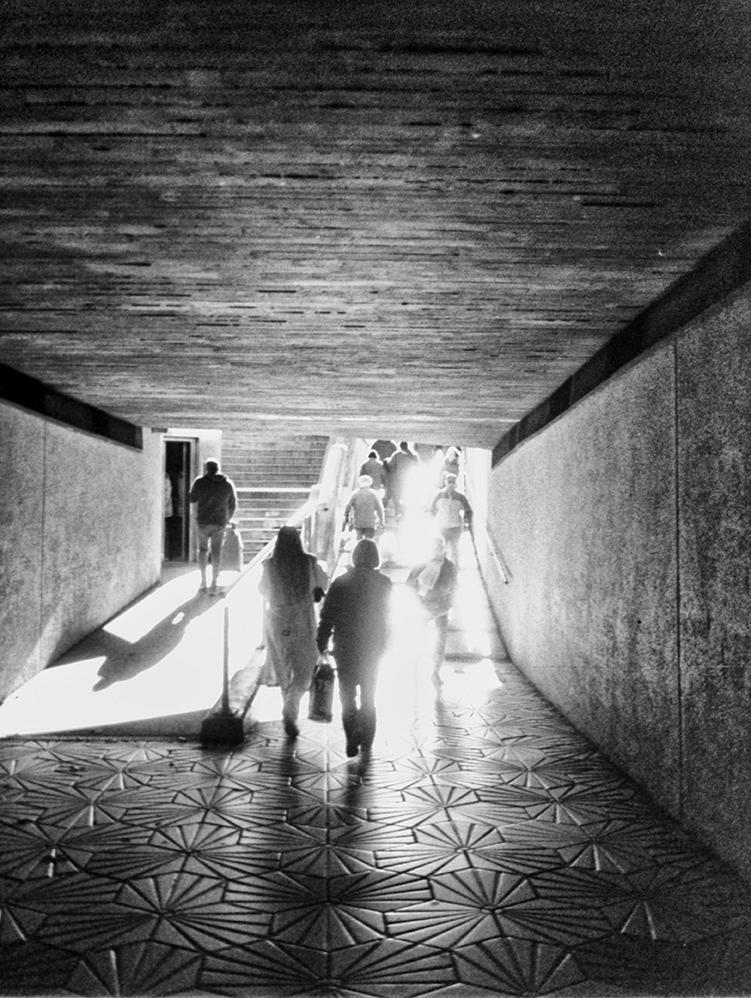 Buscando la luz.